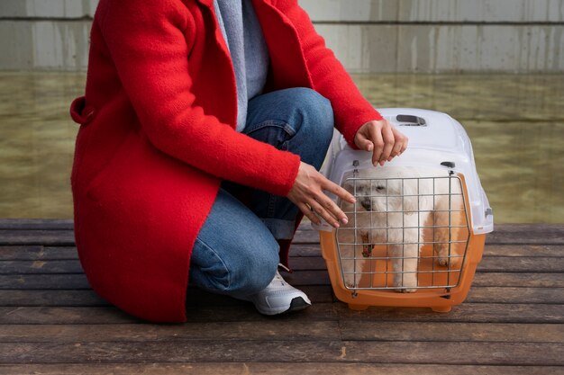 pet carrier